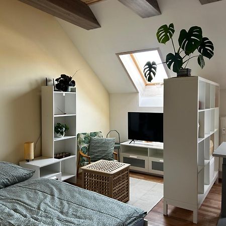 Utulny Apartman V Centre Kezmarku Kezmarok Bagian luar foto